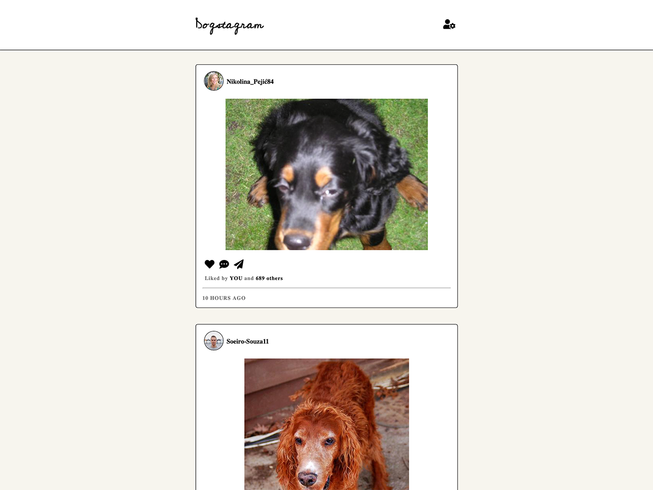 Image: Dogstagram is an endless stream of dog photos via an The Dog API made to feel like a very limited functionality version of Instagram. Woof! 